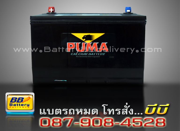 PUMA battery